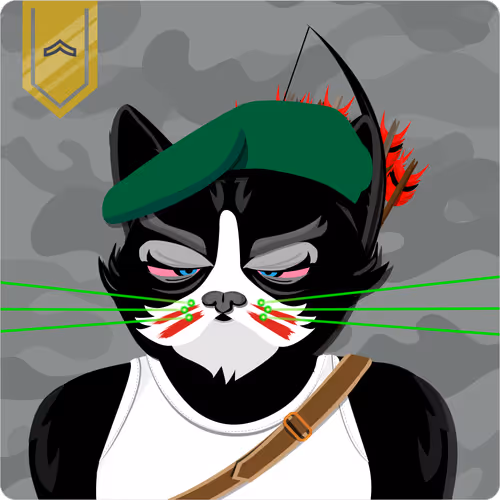 Mad Cat Militia