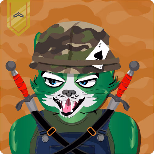 Mad Cat Militia