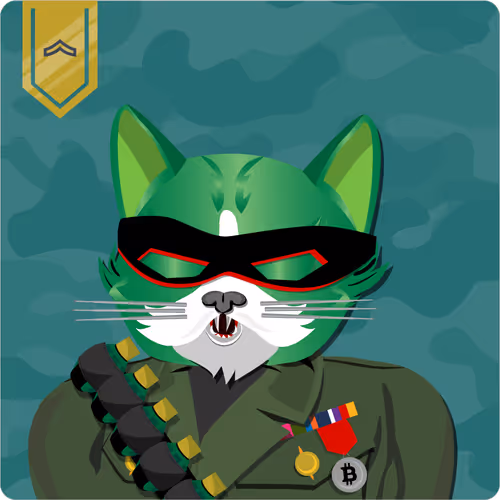 Mad Cat Militia