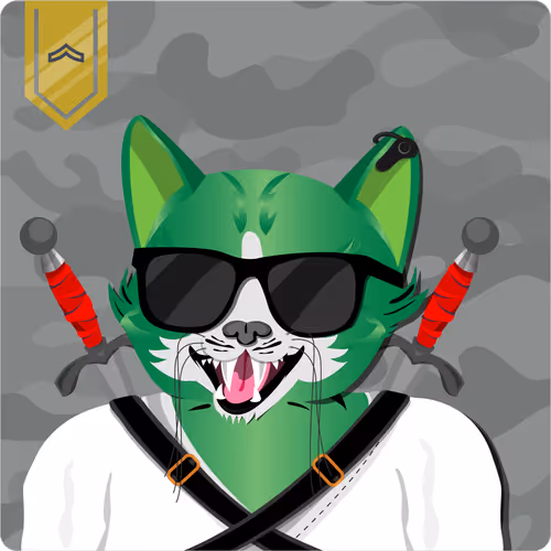 Mad Cat Militia