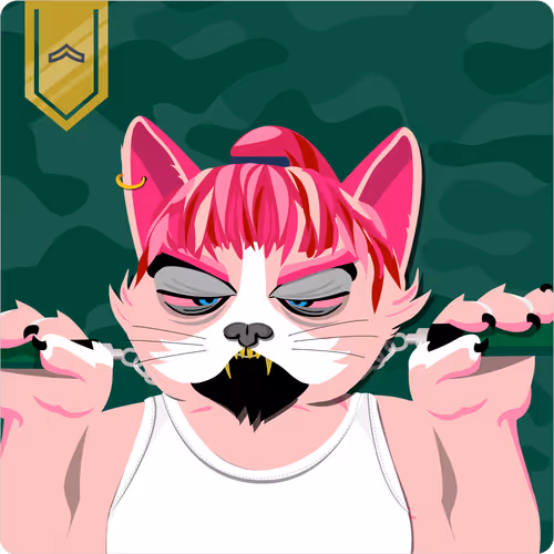 Mad Cat Militia