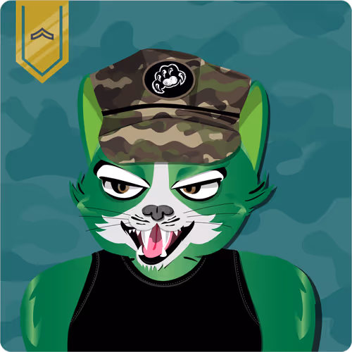 Mad Cat Militia