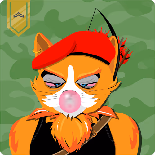 Mad Cat Militia