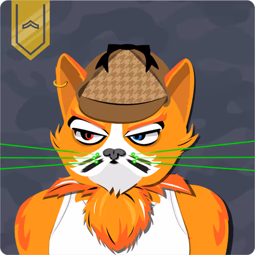 Mad Cat Militia