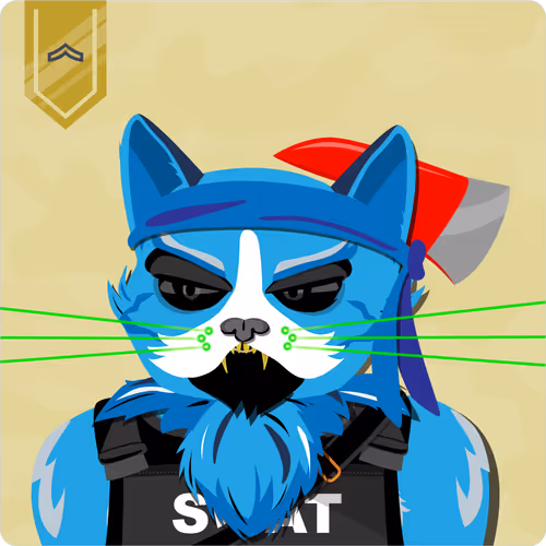 Mad Cat Militia