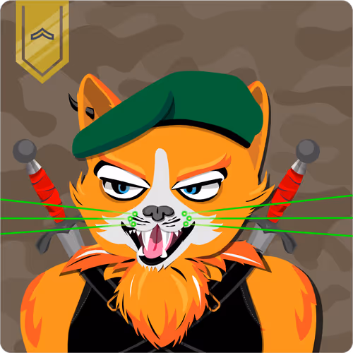 Mad Cat Militia