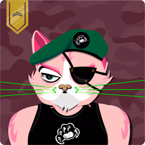 Mad Cat Militia