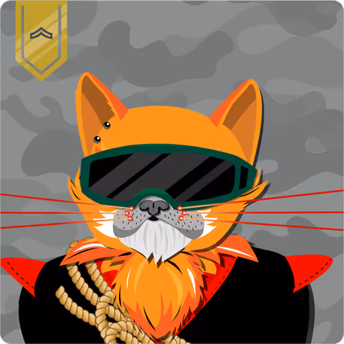 Mad Cat Militia