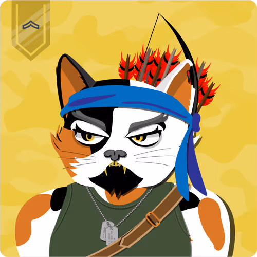 Mad Cat Militia