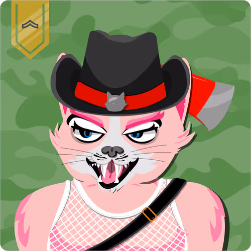 Mad Cat Militia