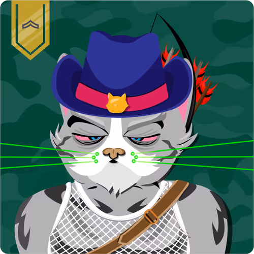 Mad Cat Militia