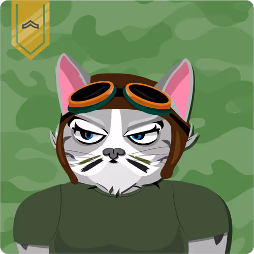 Mad Cat Militia