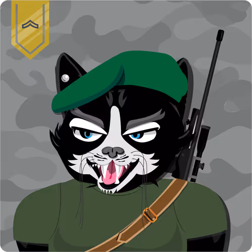 Mad Cat Militia