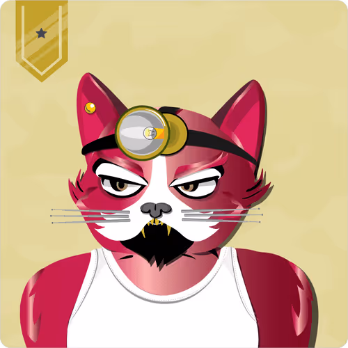 Mad Cat Militia