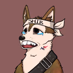 SHIB CLUB #1539