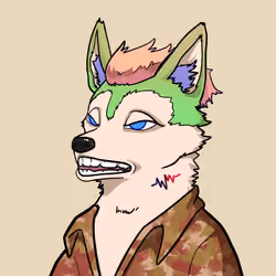 SHIB CLUB #427