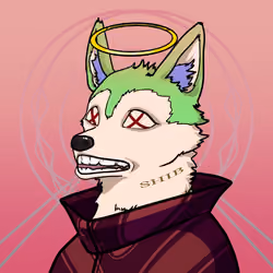 SHIB CLUB #2695