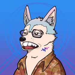 SHIB CLUB #422