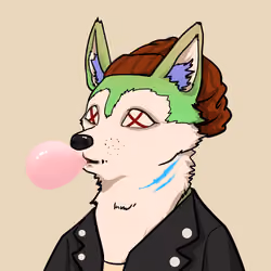 SHIB CLUB #1072