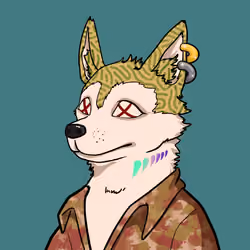 SHIB CLUB #639