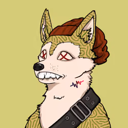 SHIB CLUB #931