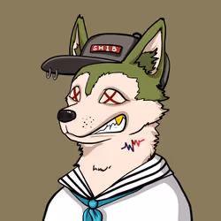 SHIB CLUB #3229