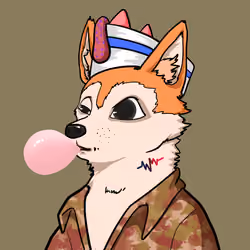 SHIB CLUB #227