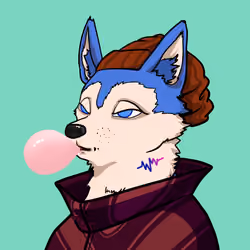 SHIB CLUB #2674
