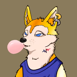 SHIB CLUB #297