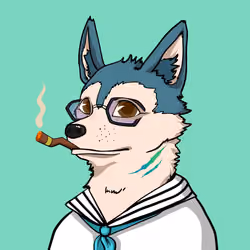 SHIB CLUB #960