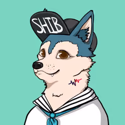 SHIB CLUB #1323