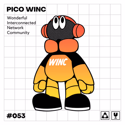 PICO WINC AVIATORS －Advancers－＃053