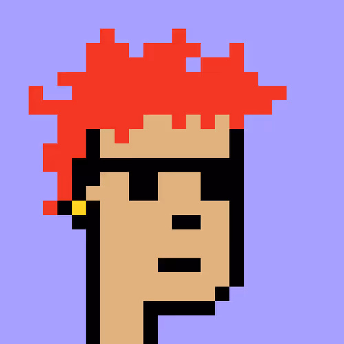 V1 PUNK #8930