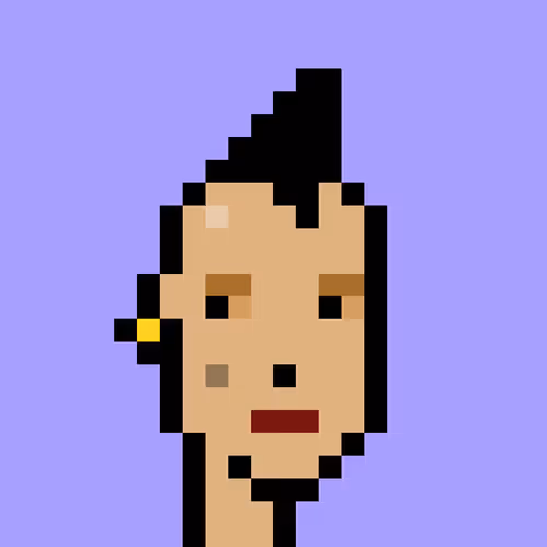 V1 PUNK #1569