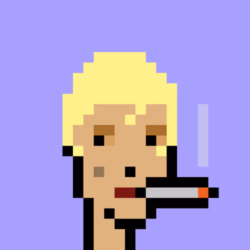 V1 PUNK #4560