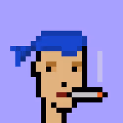 V1 PUNK #1427