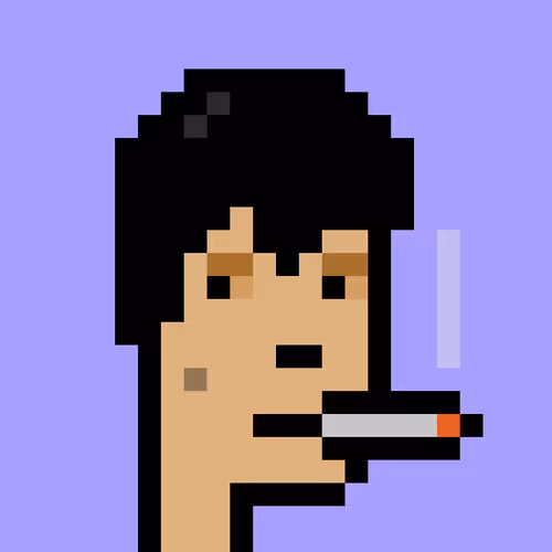 V1 PUNK #9055