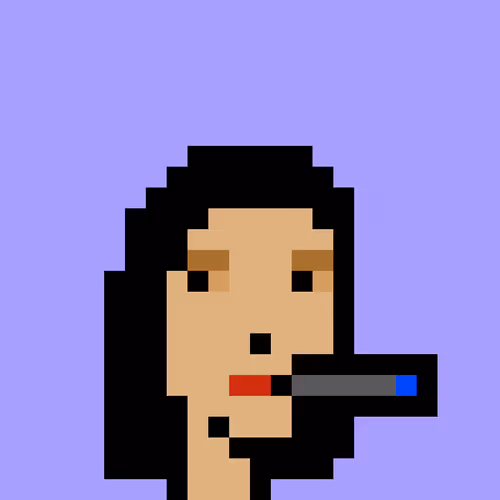 V1 PUNK #8516