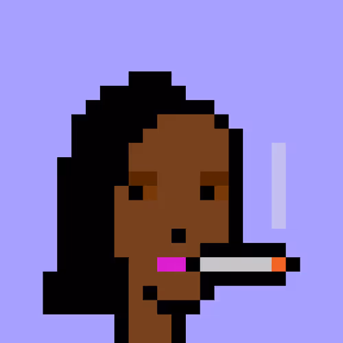 V1 PUNK #9571