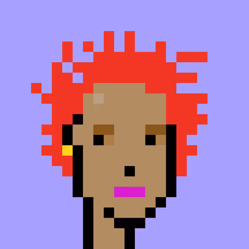 Official V1 Punks