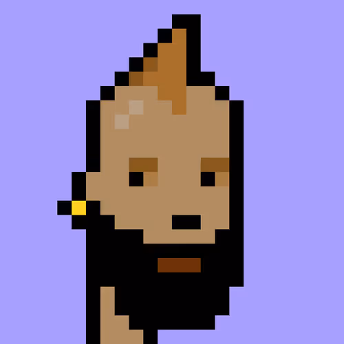 V1 PUNK #9337
