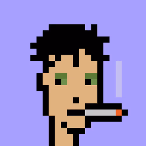 V1 PUNK #9044