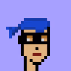V1 PUNK #6021