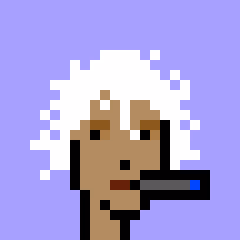 V1 PUNK #9224