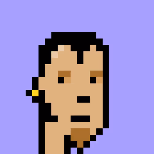 V1 PUNK #8139