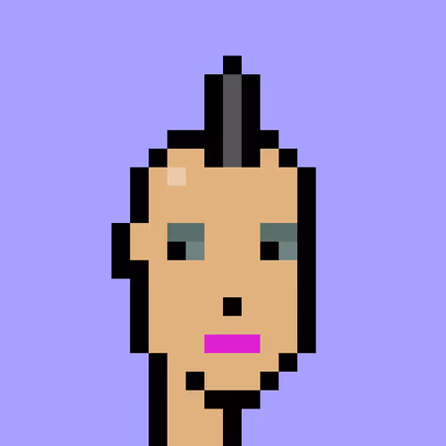 V1 PUNK #8646
