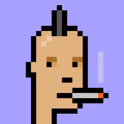 V1 PUNK #1384