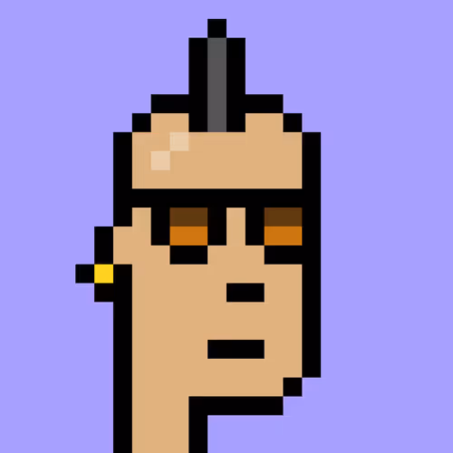 V1 PUNK #8508