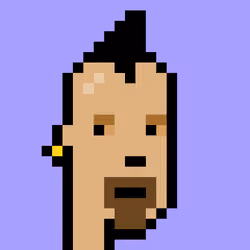 V1 PUNK #8655