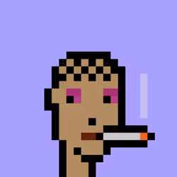 V1 PUNK #9307